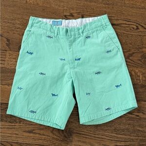 Mint Green Shorts with Shark Print